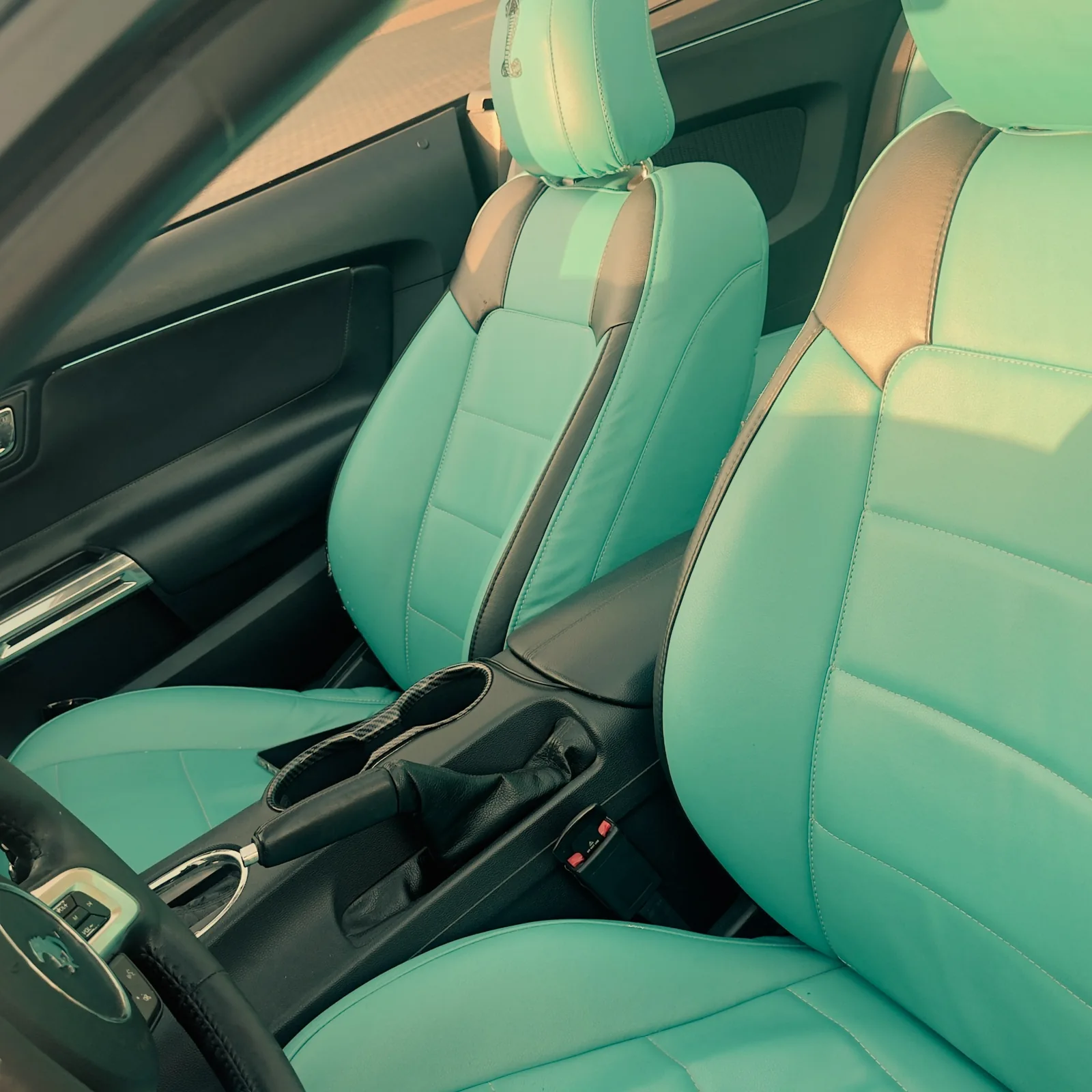 Передние сиденья Ford Mustang